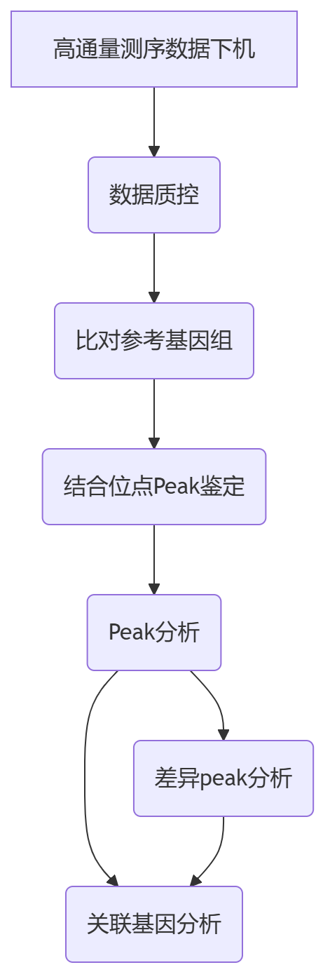 Cut&Tag生信分析流程